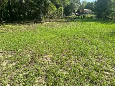 20456 SE 140th Street Umatilla FL 32784