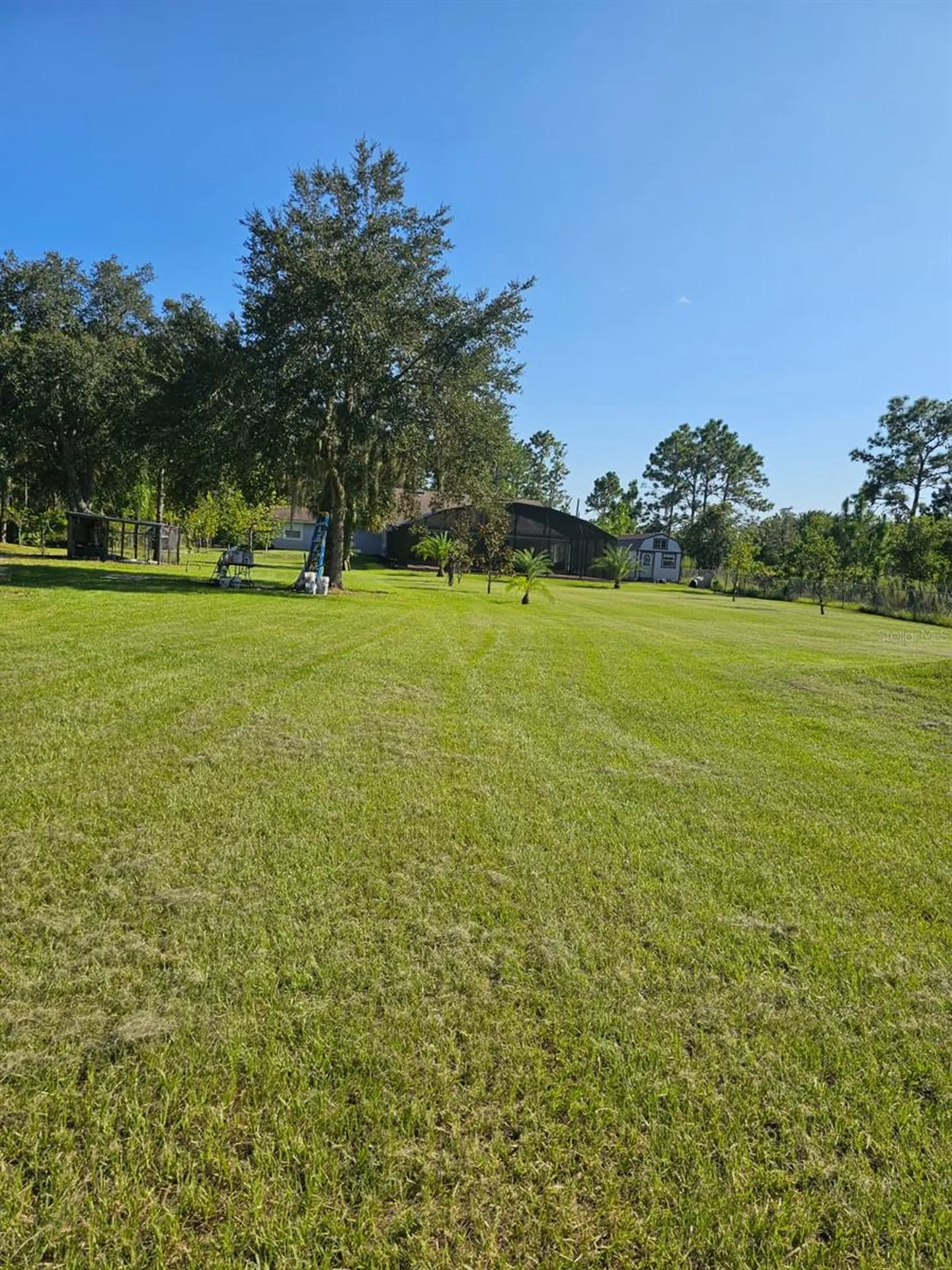 20805 Sheldon Street Orlando FL 32833