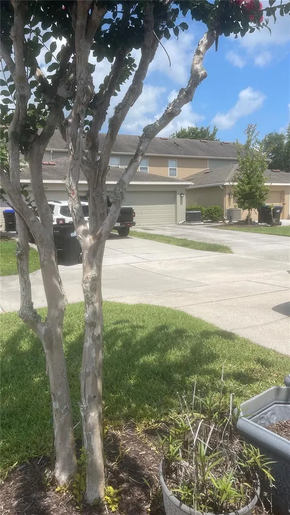 Orlando FL 32828
