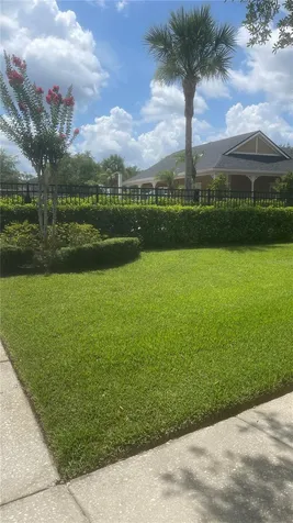 Orlando FL 32828