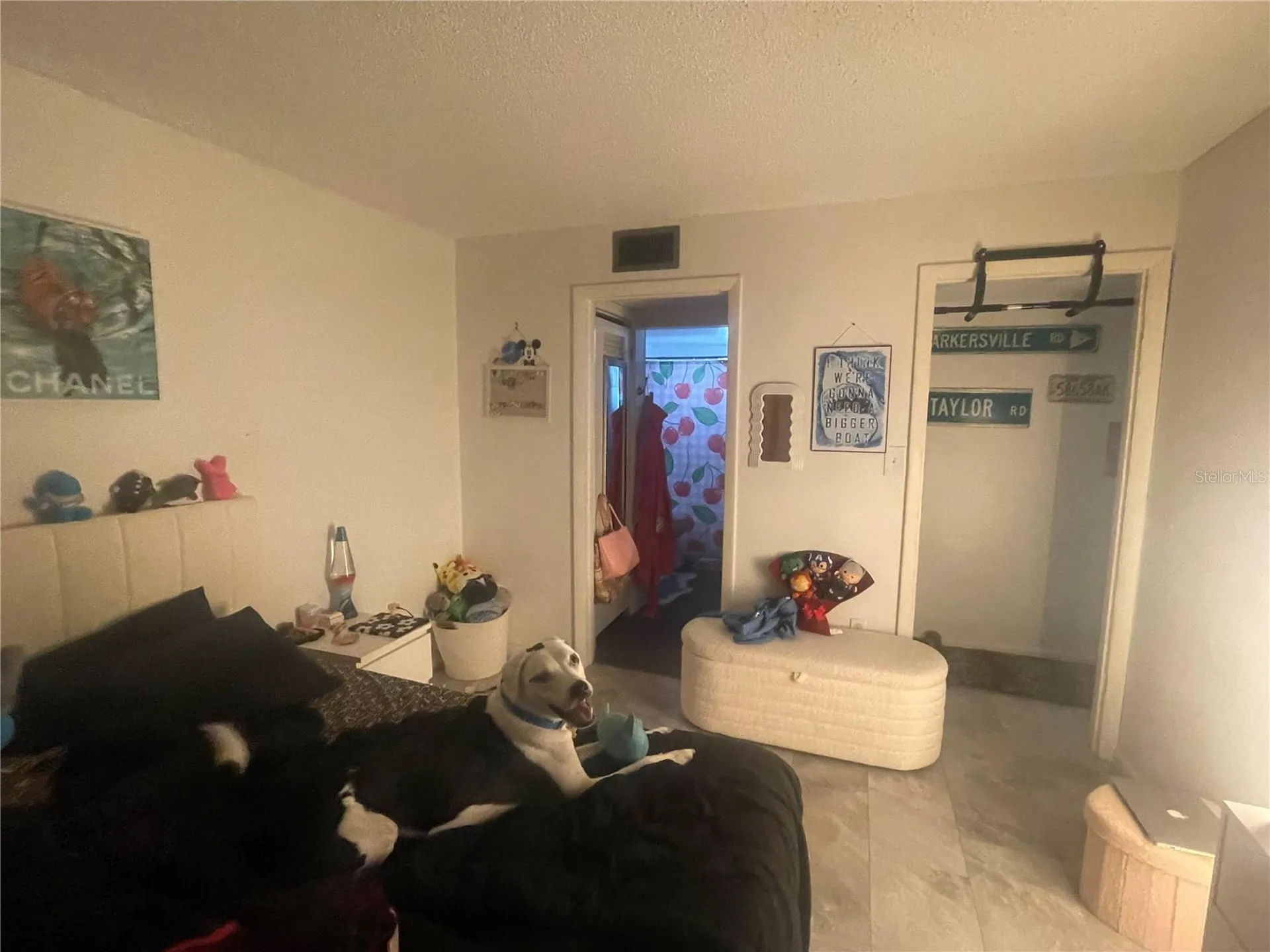 5245 Amulet Drive New Port Richey FL 34652