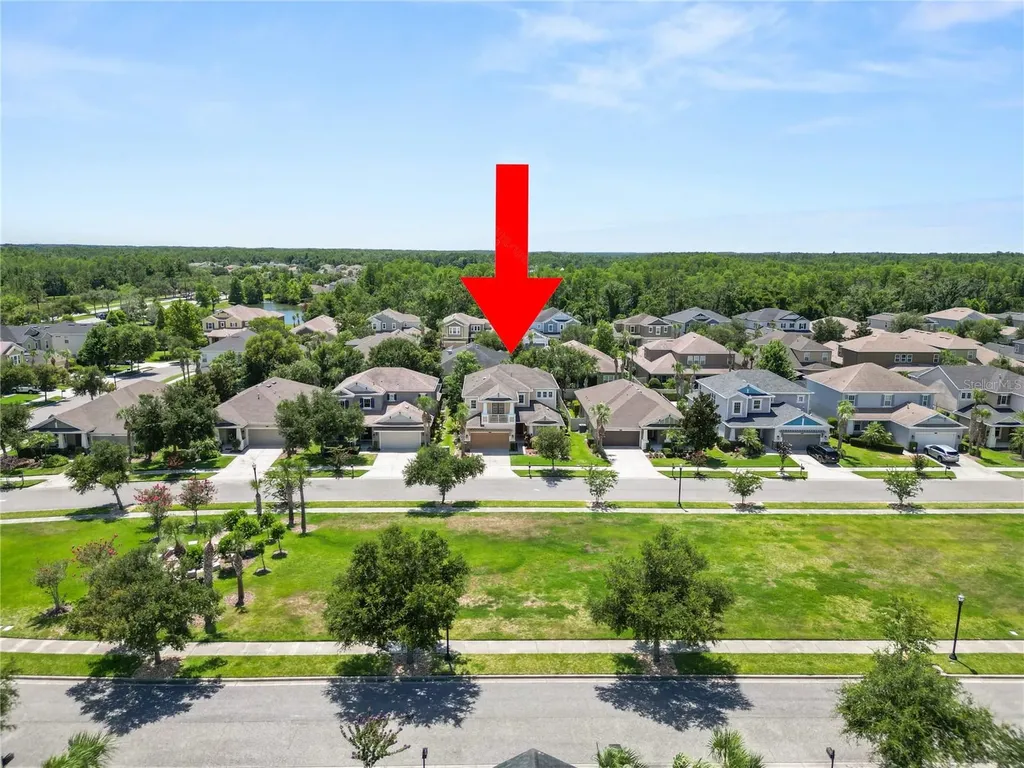8775 Sentiero Drive Land O Lakes FL 34637