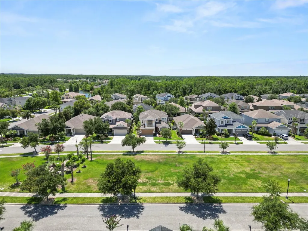 8775 Sentiero Drive Land O Lakes FL 34637