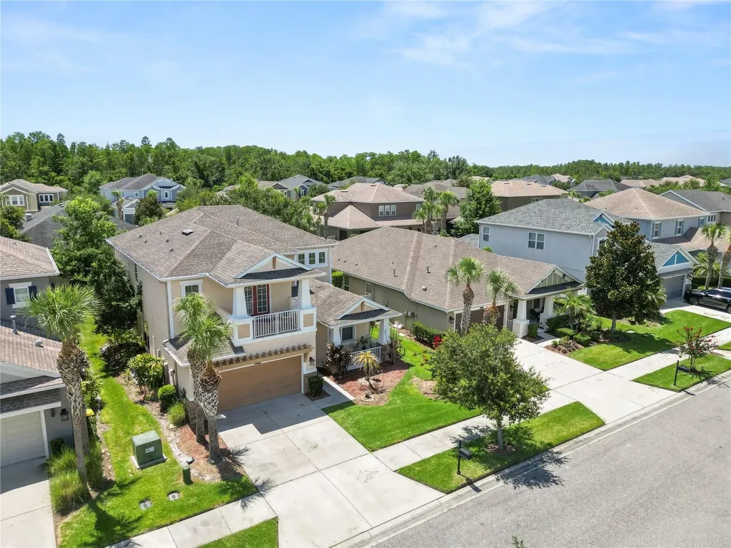 8775 Sentiero Drive Land O Lakes FL 34637