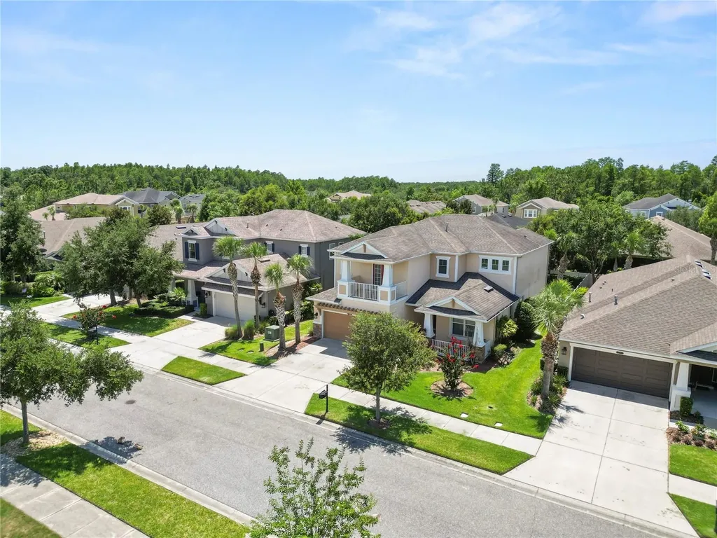 8775 Sentiero Drive Land O Lakes FL 34637