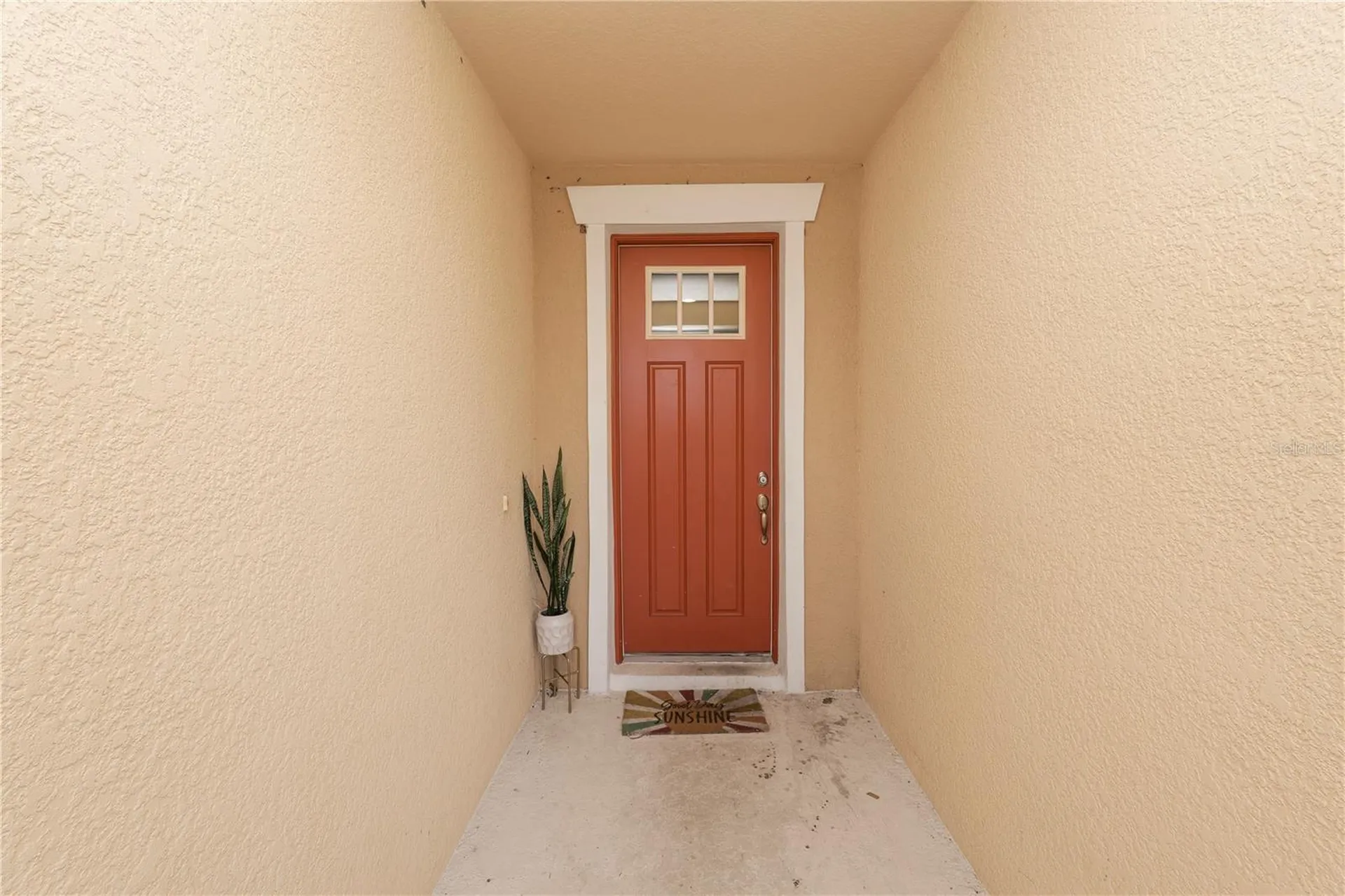 8775 Sentiero Drive Land O Lakes FL 34637