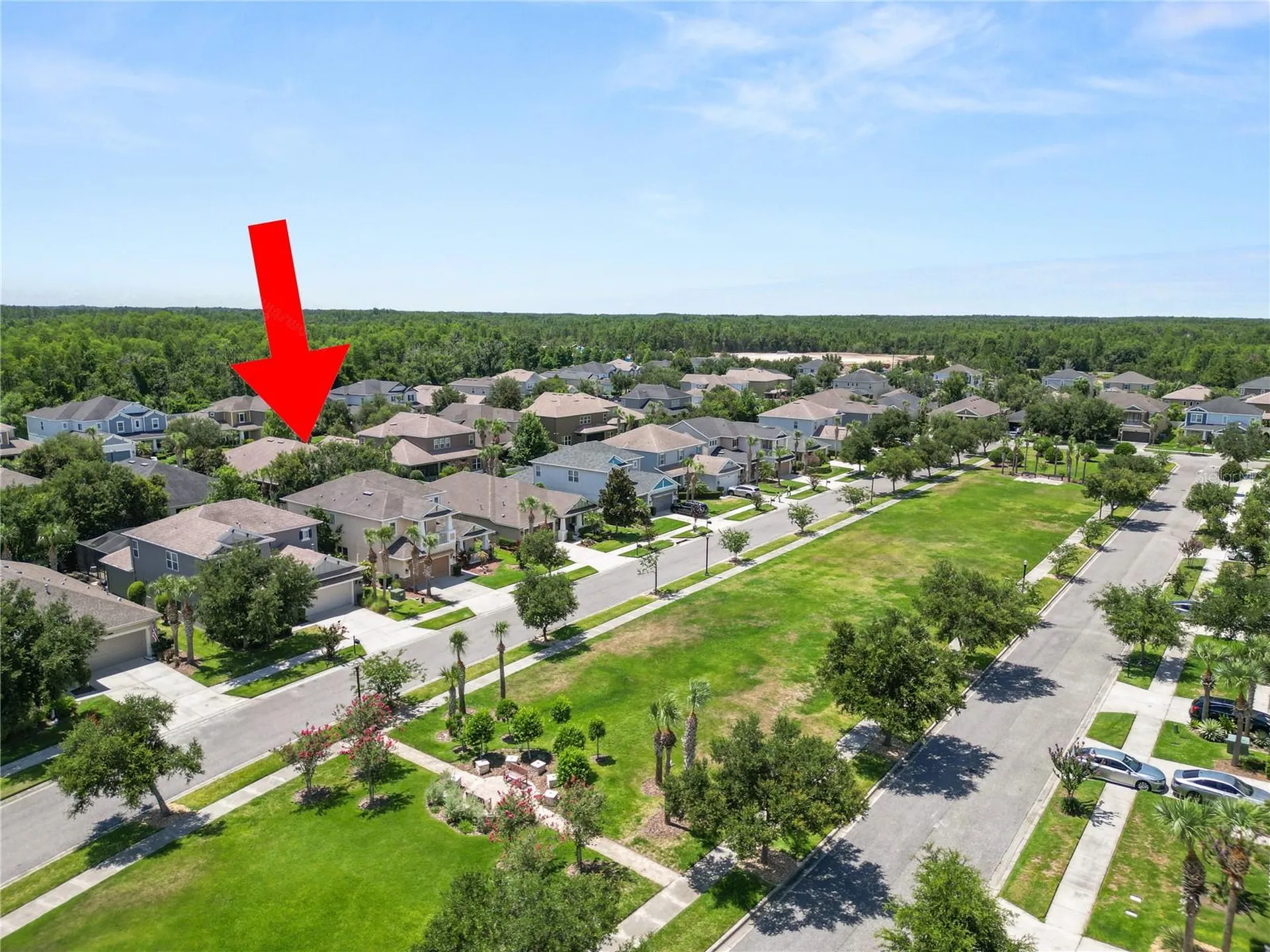 8775 Sentiero Drive Land O Lakes FL 34637