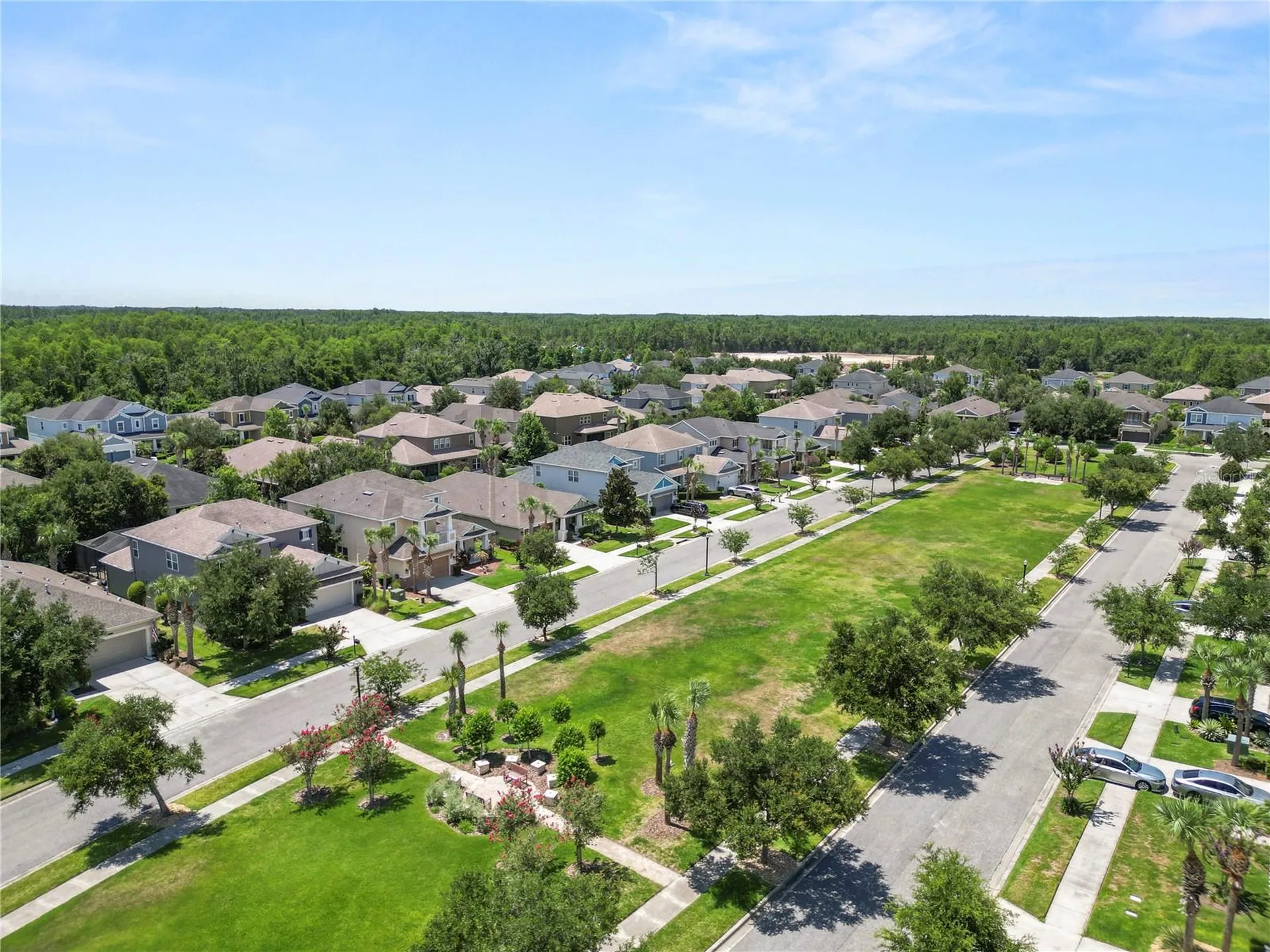 8775 Sentiero Drive Land O Lakes FL 34637