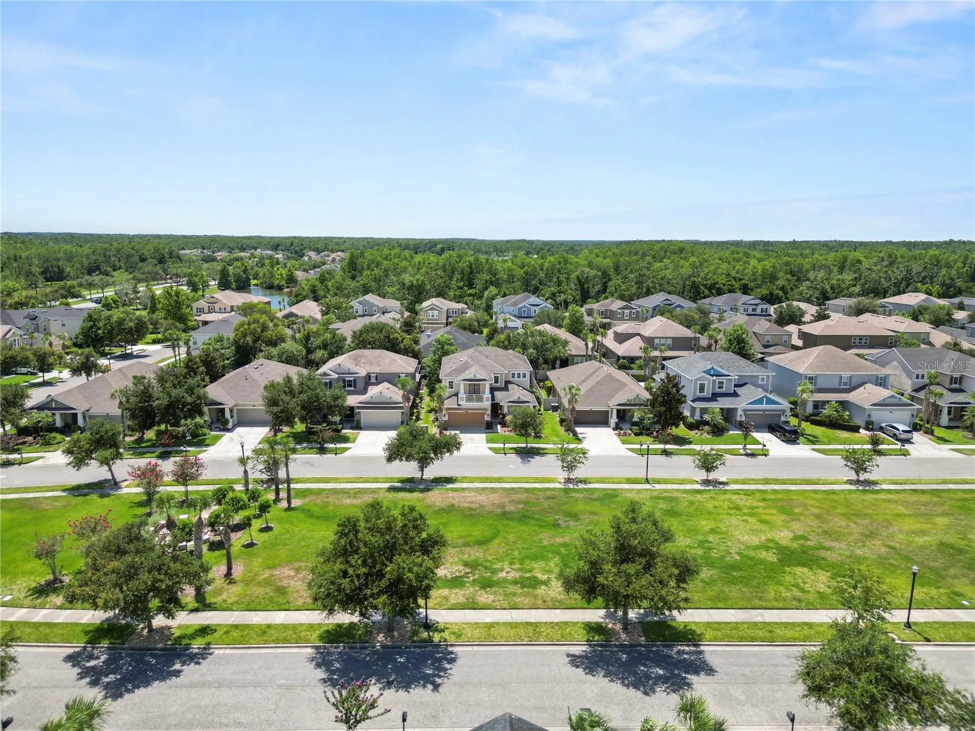 8775 Sentiero Drive Land O Lakes FL 34637