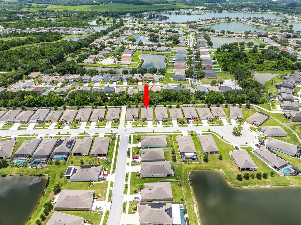 31420 Tansy Bend Wesley Chapel FL 33545
