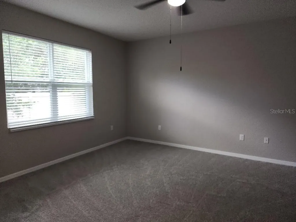 31420 Tansy Bend Wesley Chapel FL 33545
