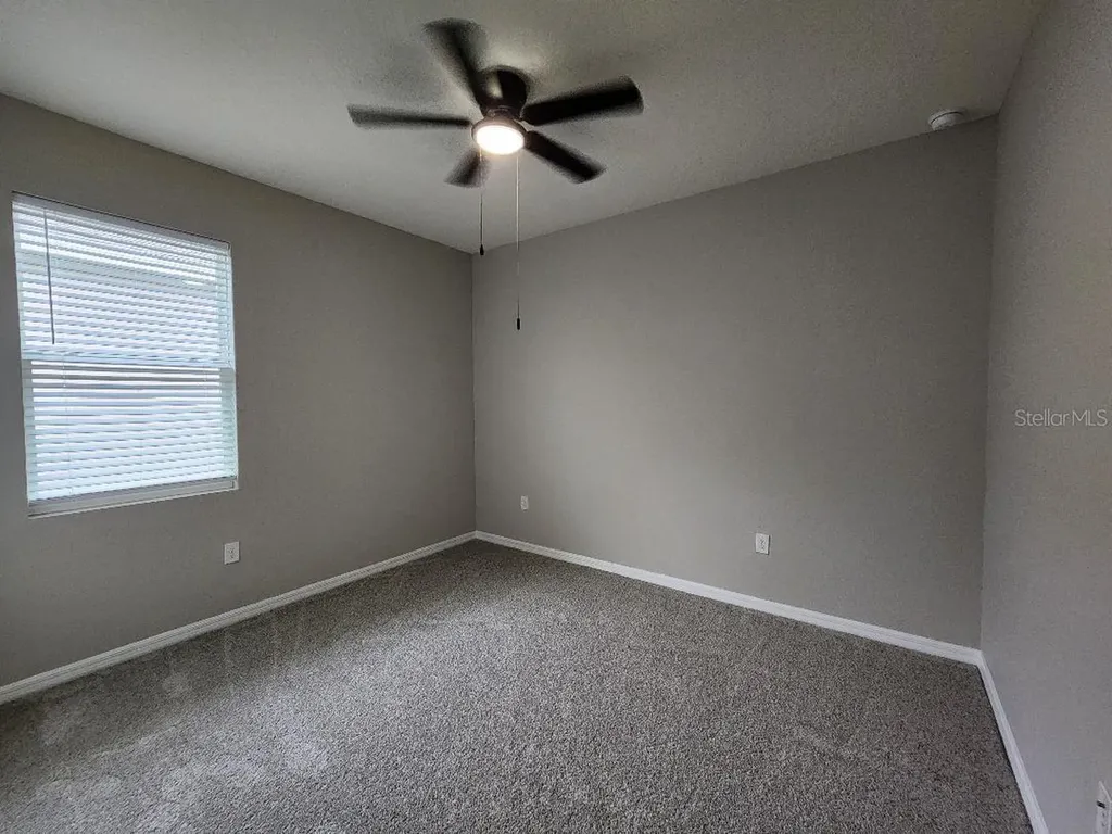 31420 Tansy Bend Wesley Chapel FL 33545