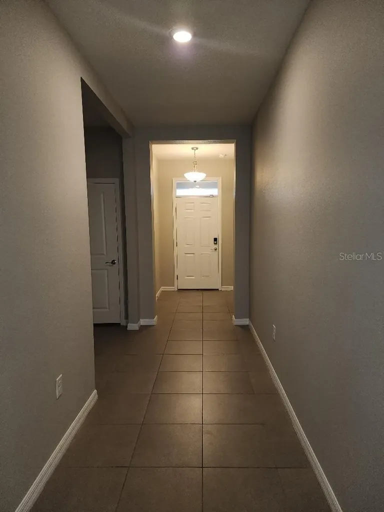 31420 Tansy Bend Wesley Chapel FL 33545