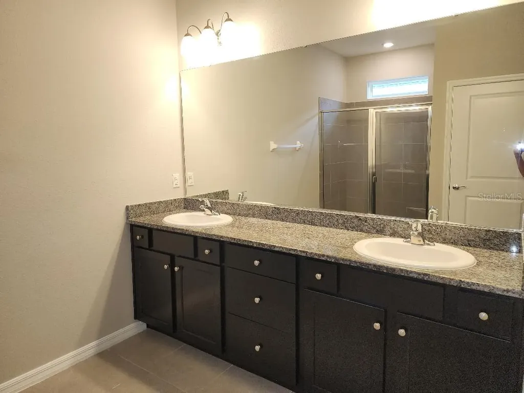 31420 Tansy Bend Wesley Chapel FL 33545