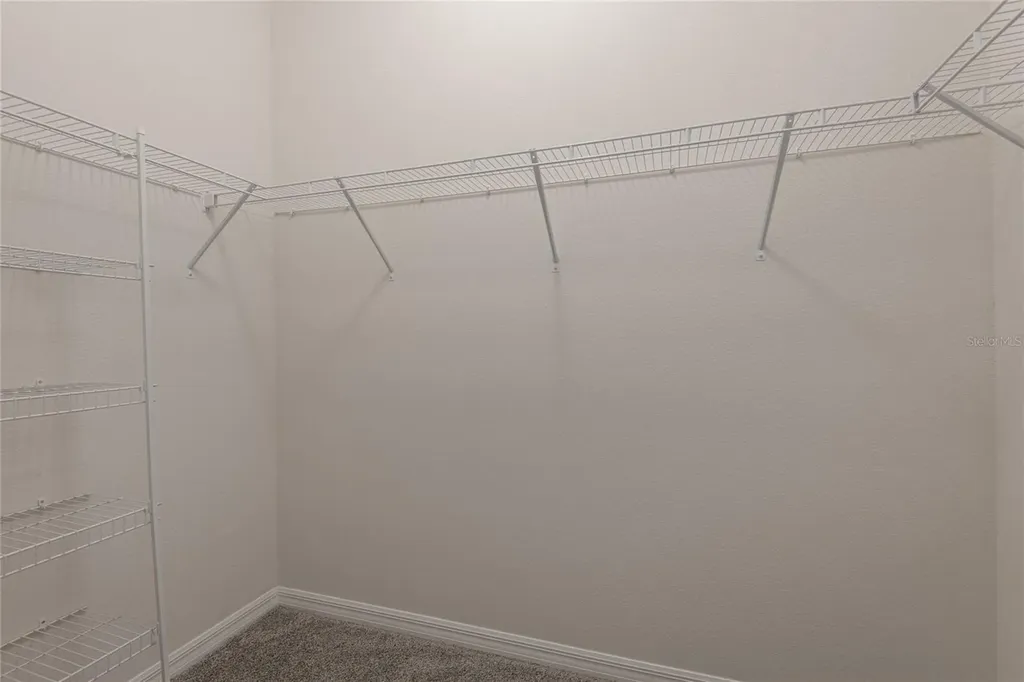31420 Tansy Bend Wesley Chapel FL 33545