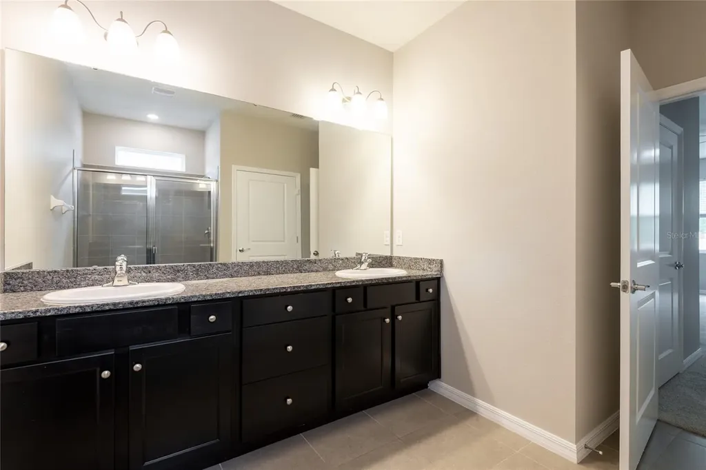31420 Tansy Bend Wesley Chapel FL 33545