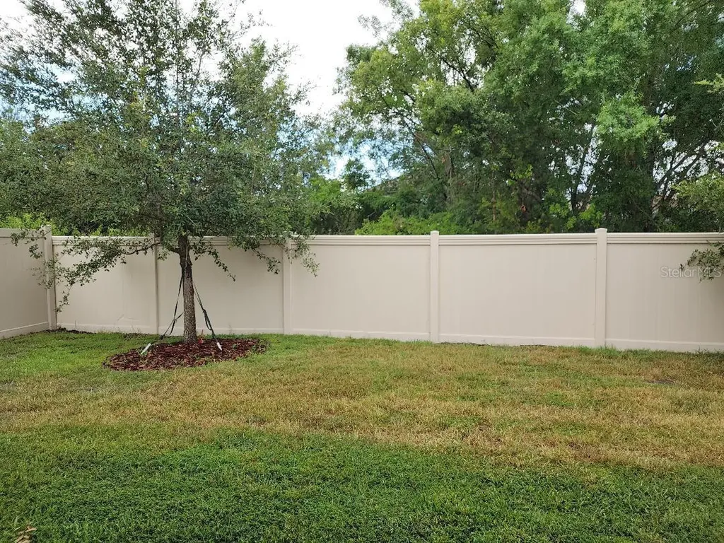31420 Tansy Bend Wesley Chapel FL 33545
