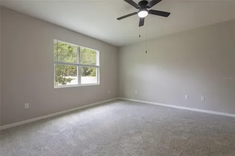 31420 Tansy Bend Wesley Chapel FL 33545