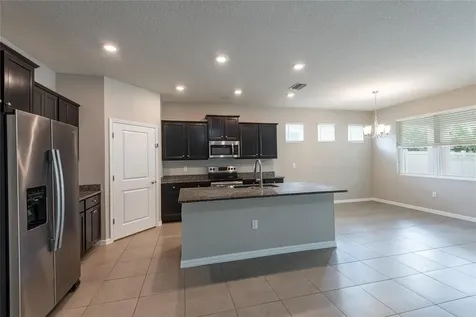 31420 Tansy Bend Wesley Chapel FL 33545