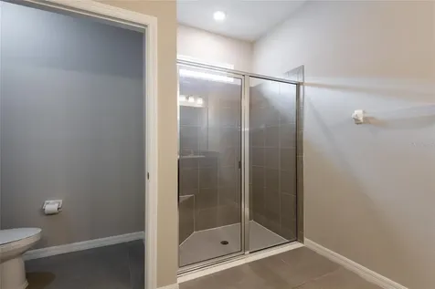 31420 Tansy Bend Wesley Chapel FL 33545