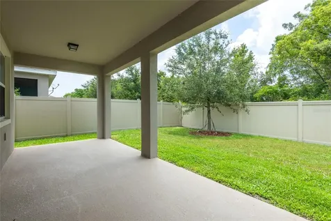 31420 Tansy Bend Wesley Chapel FL 33545