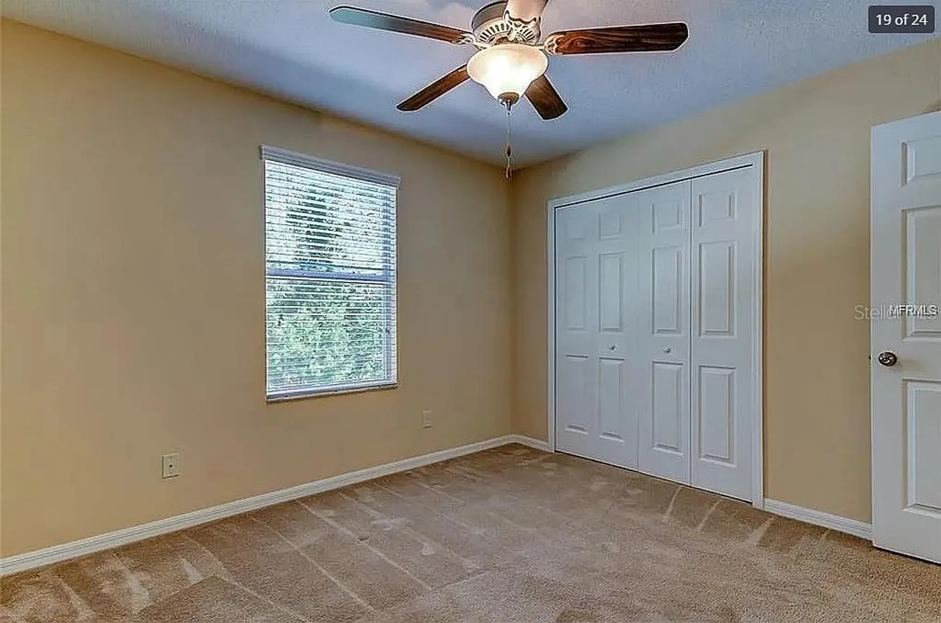 12564 Streamdale Drive Tampa FL 33626