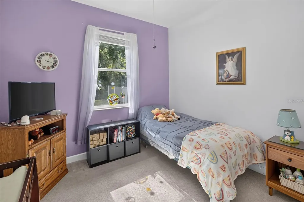 34339 Alameda Drive Sorrento FL 32776