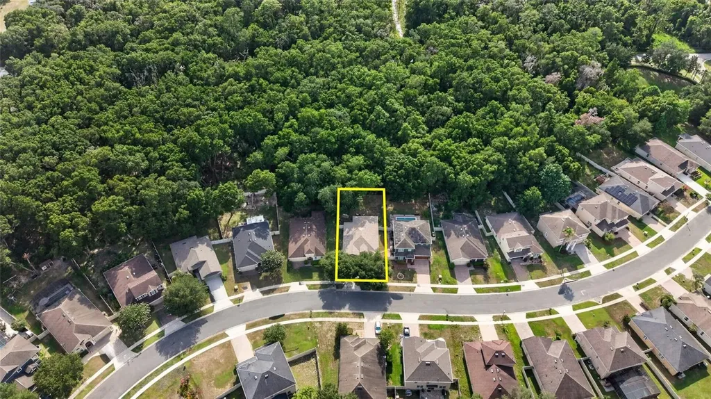 34339 Alameda Drive Sorrento FL 32776
