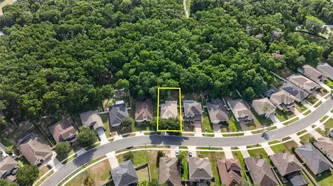 34339 Alameda Drive Sorrento FL 32776