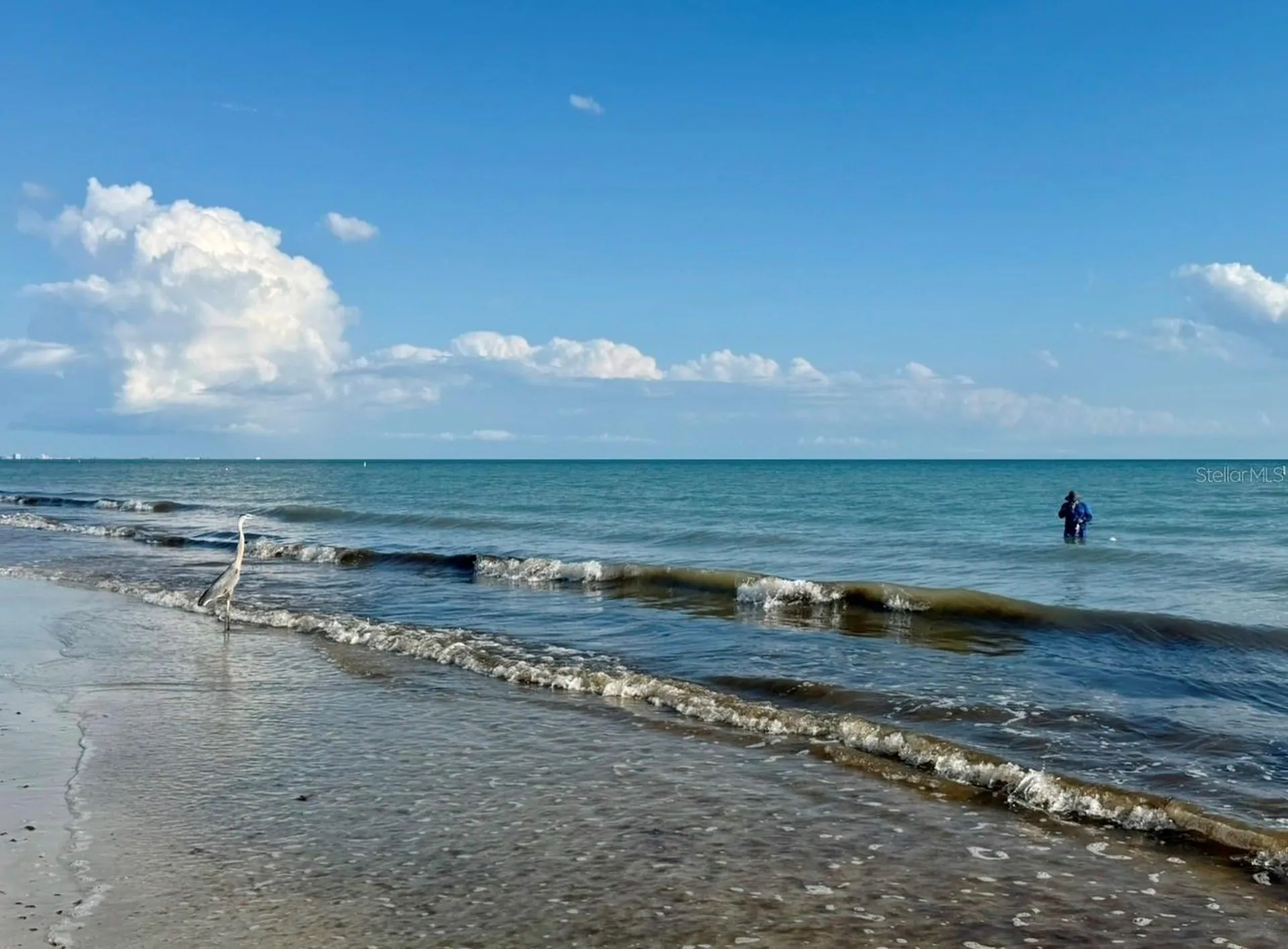 1238 S Missouri Avenue Clearwater FL 33756