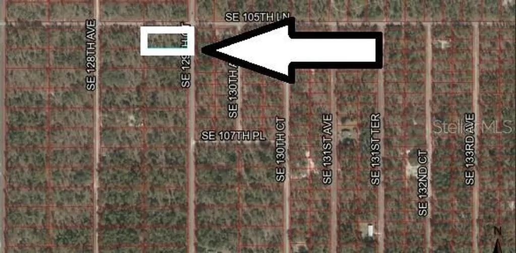 Lot 1 SE 129th Court Dunnellon FL 34431
