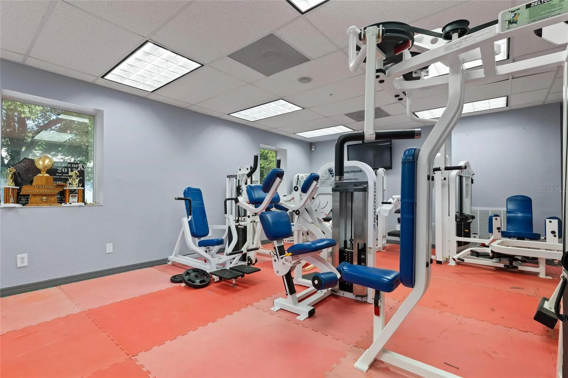 5021 W Nassau Street Tampa FL 33607