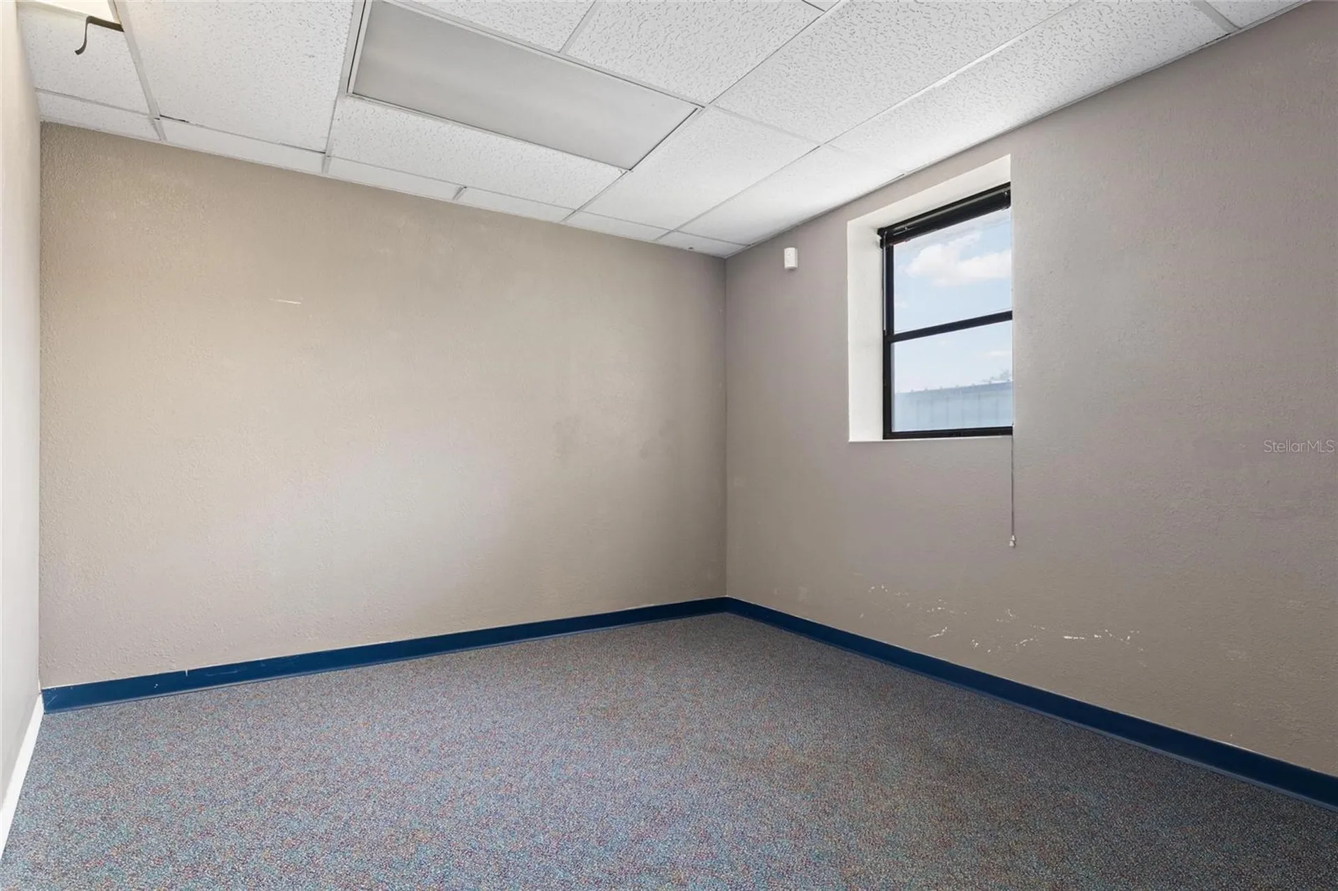 5021 W Nassau Street Tampa FL 33607