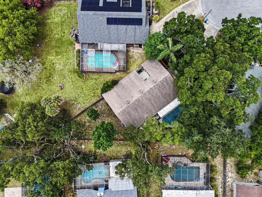 2773 Jeffrey Drive Palm Harbor FL 34684