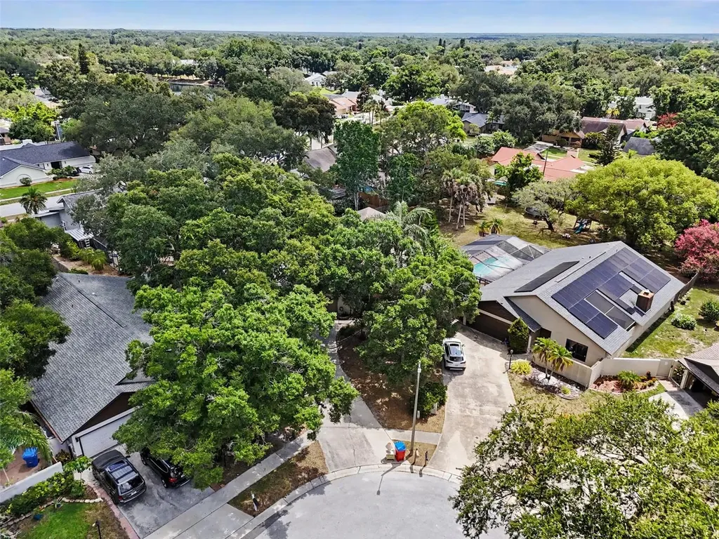 2773 Jeffrey Drive Palm Harbor FL 34684