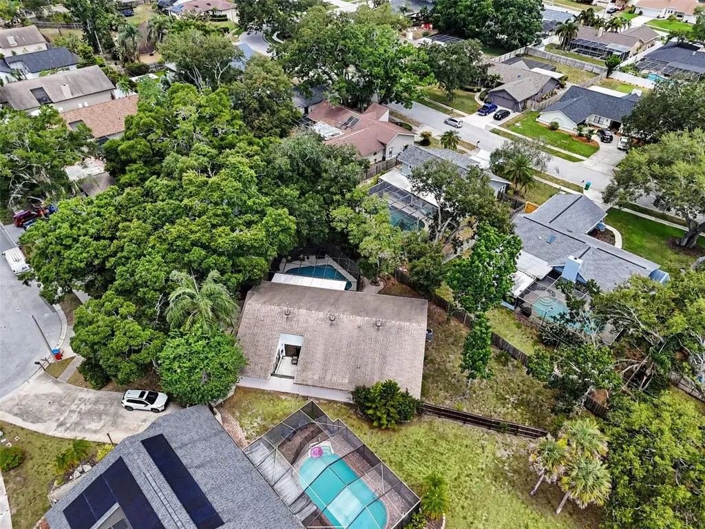 2773 Jeffrey Drive Palm Harbor FL 34684