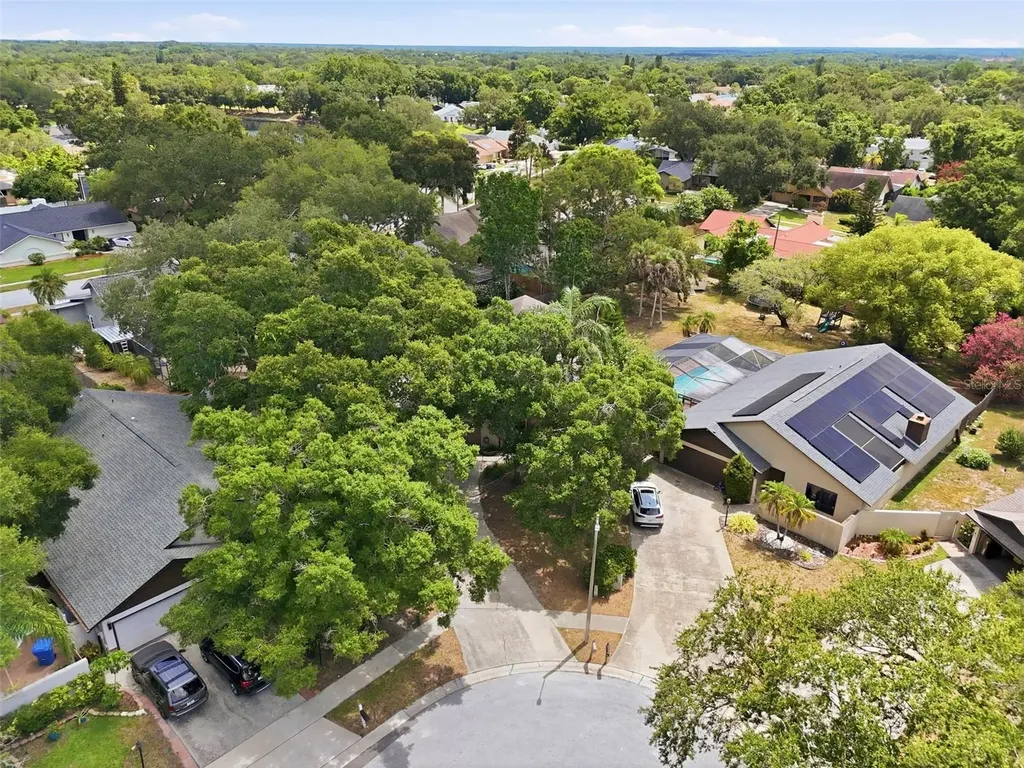 2773 Jeffrey Drive Palm Harbor FL 34684
