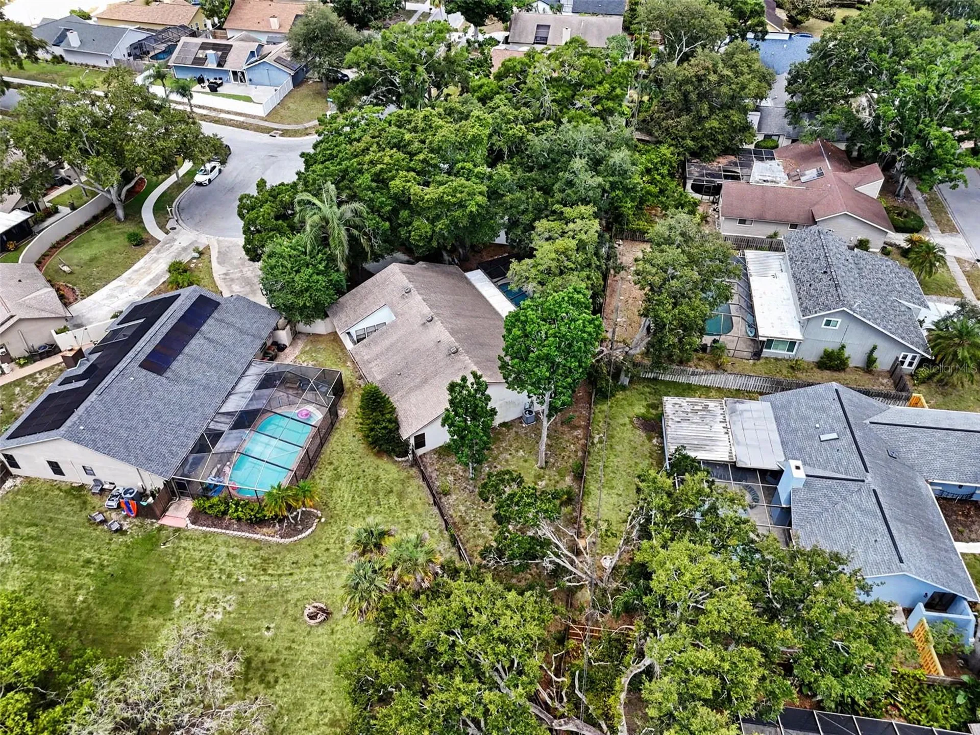 2773 Jeffrey Drive Palm Harbor FL 34684