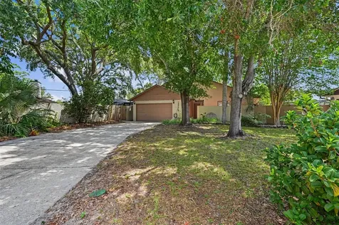 2773 Jeffrey Drive Palm Harbor FL 34684