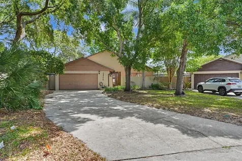 2773 Jeffrey Drive Palm Harbor FL 34684