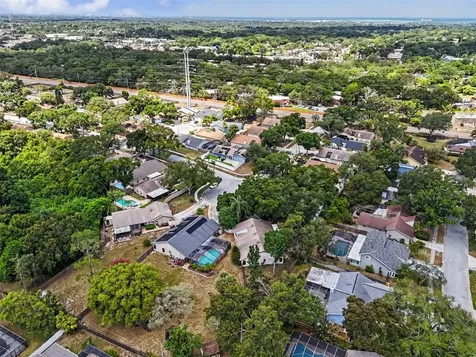 2773 Jeffrey Drive Palm Harbor FL 34684