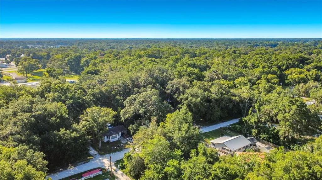 11572 SE 60th Avenue Belleview FL 34420