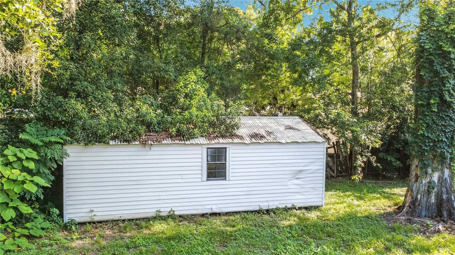 11572 SE 60th Avenue Belleview FL 34420