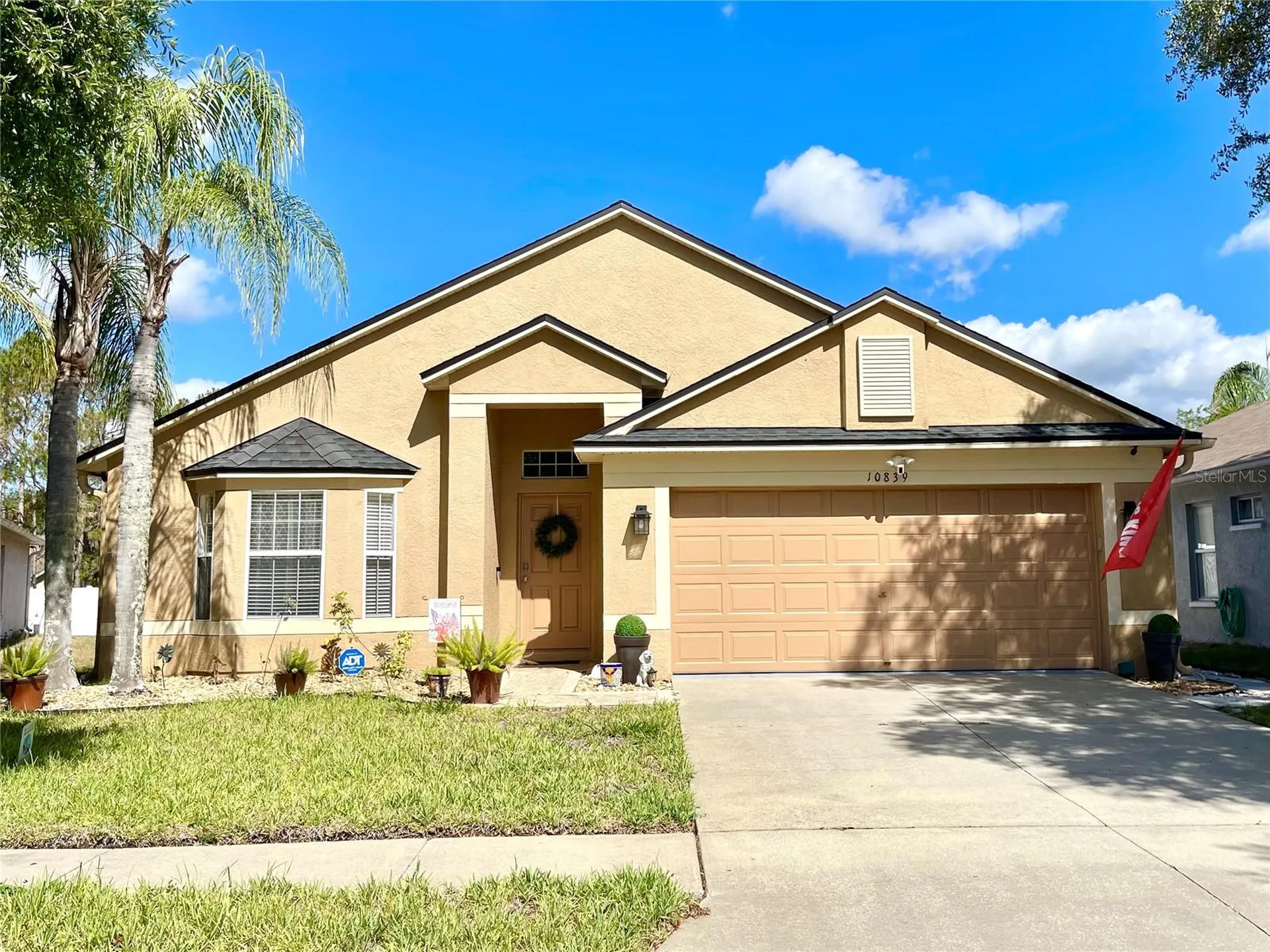 10839 Wild Cotton Court Land O Lakes FL 34638
