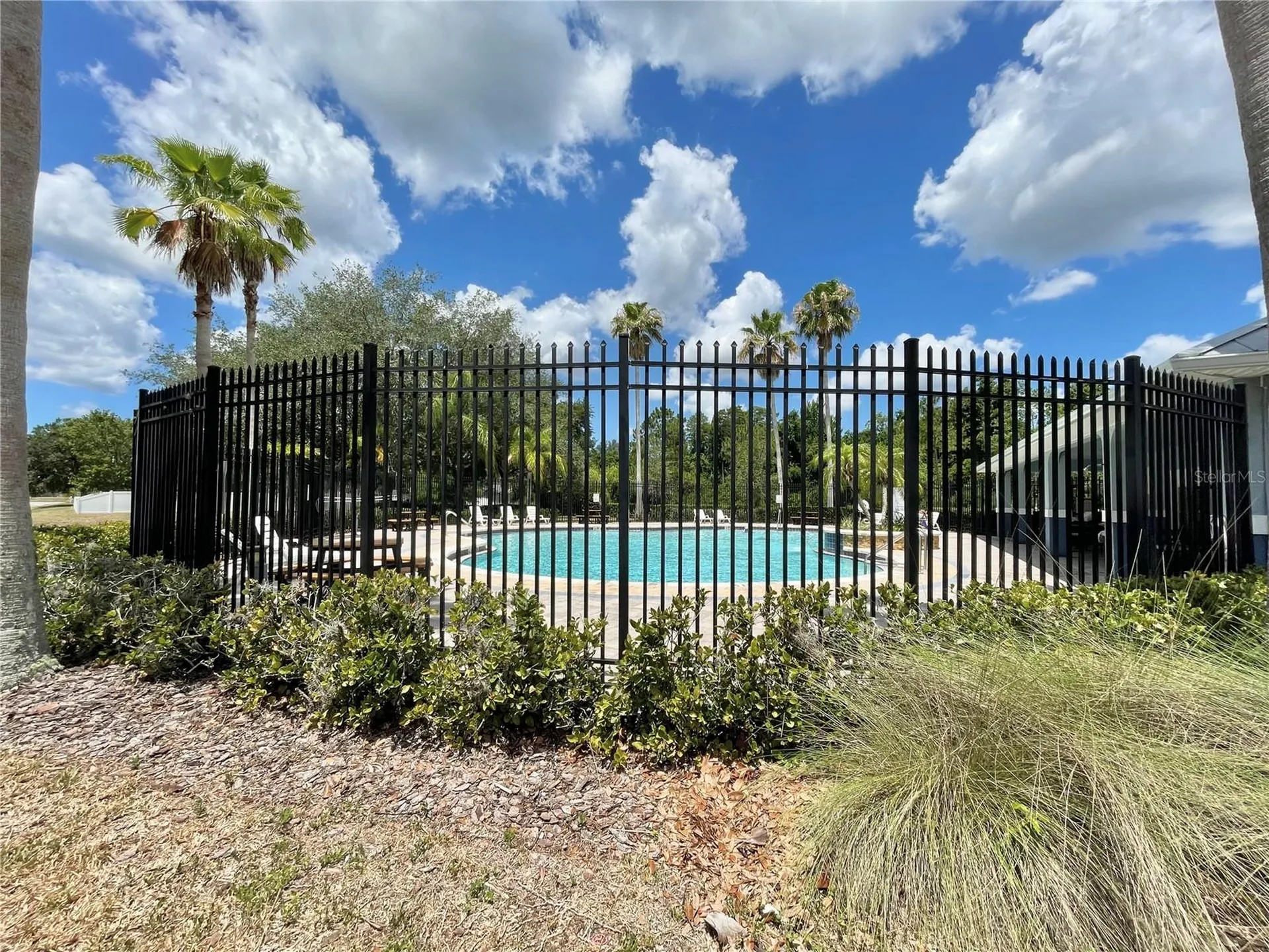 10839 Wild Cotton Court Land O Lakes FL 34638