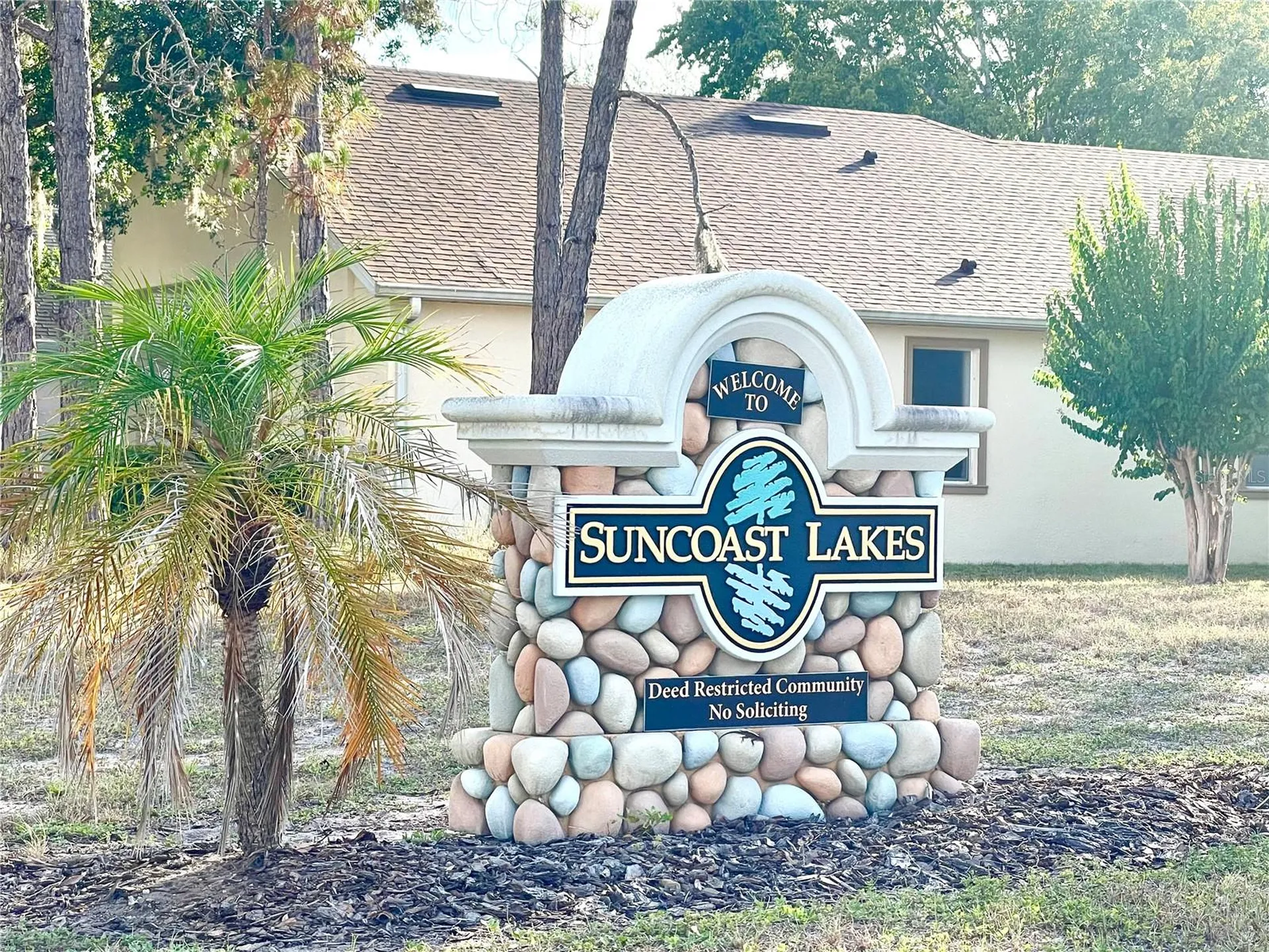 10839 Wild Cotton Court Land O Lakes FL 34638