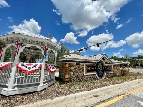 10839 Wild Cotton Court Land O Lakes FL 34638