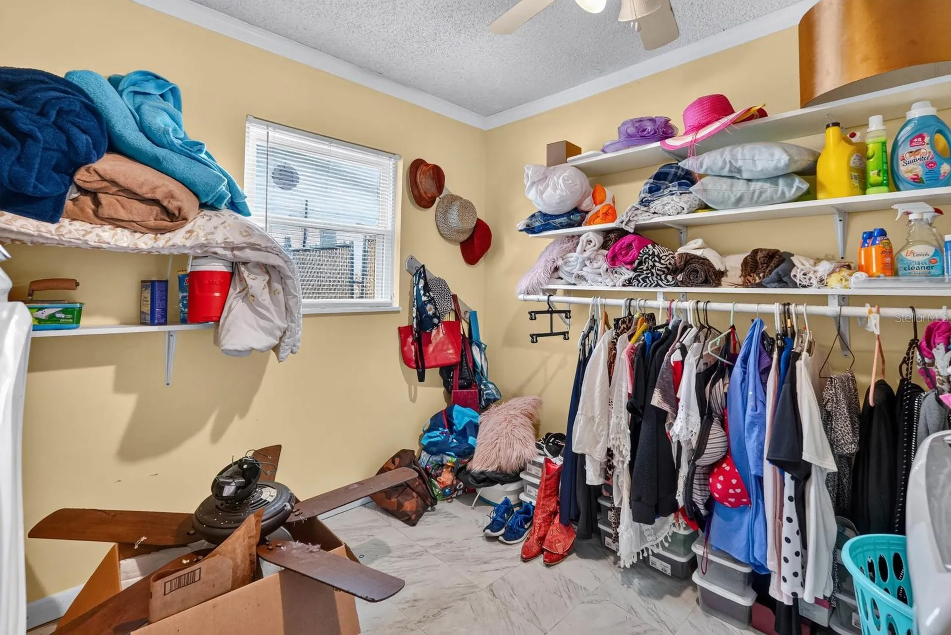 212 Mimosa Drive Palatka FL 32177
