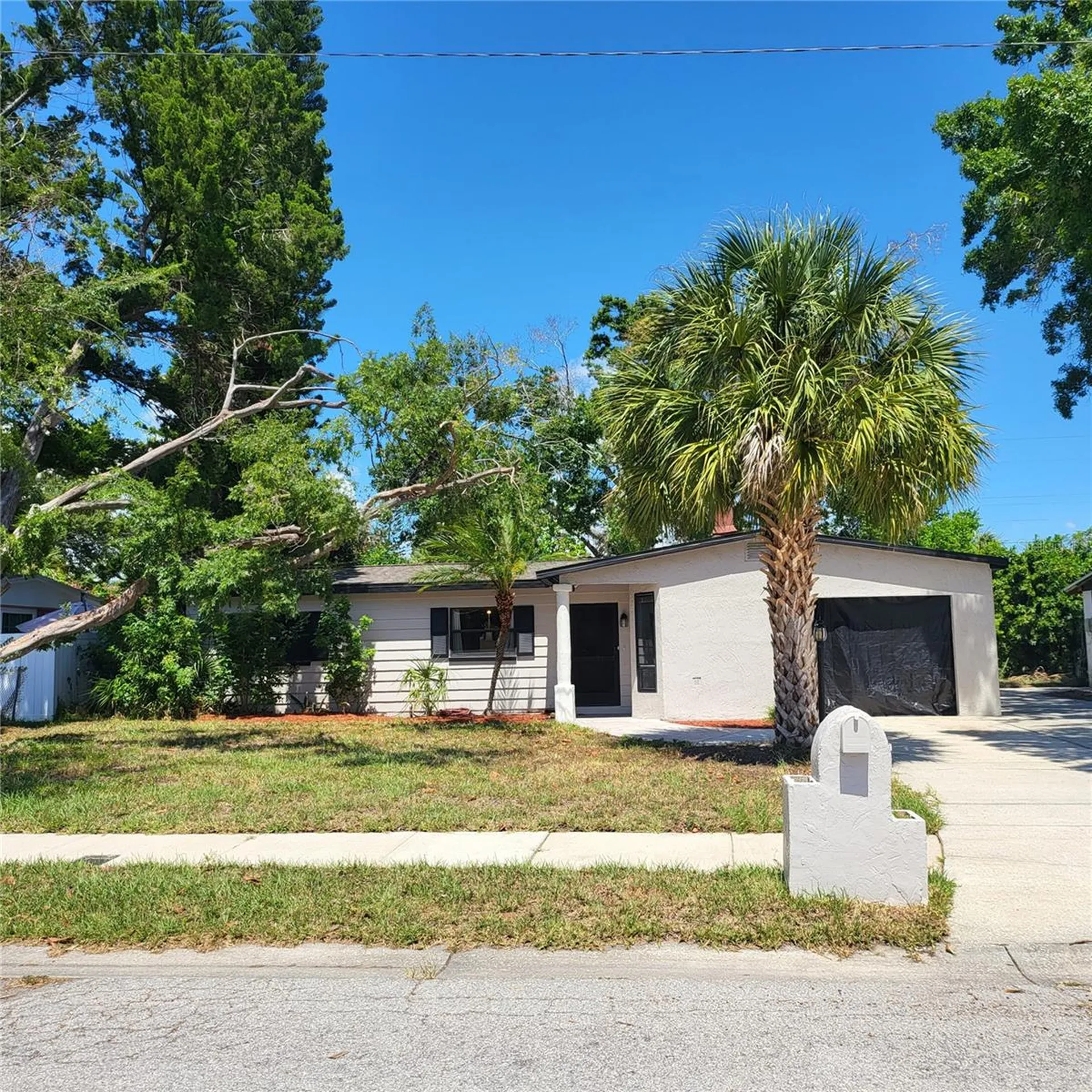 5107 Cresthill Drive Tampa FL 33615