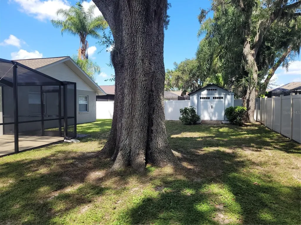 1104 Riflecrest Avenue Valrico FL 33594
